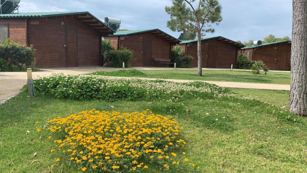אל פוארטו דה סנטה מריה Alojamiento Rural Coto De La Isleta מראה חיצוני תמונה