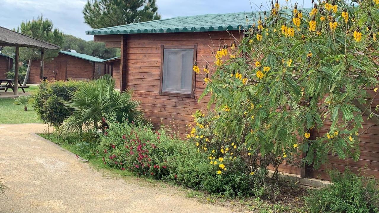 אל פוארטו דה סנטה מריה Alojamiento Rural Coto De La Isleta מראה חיצוני תמונה