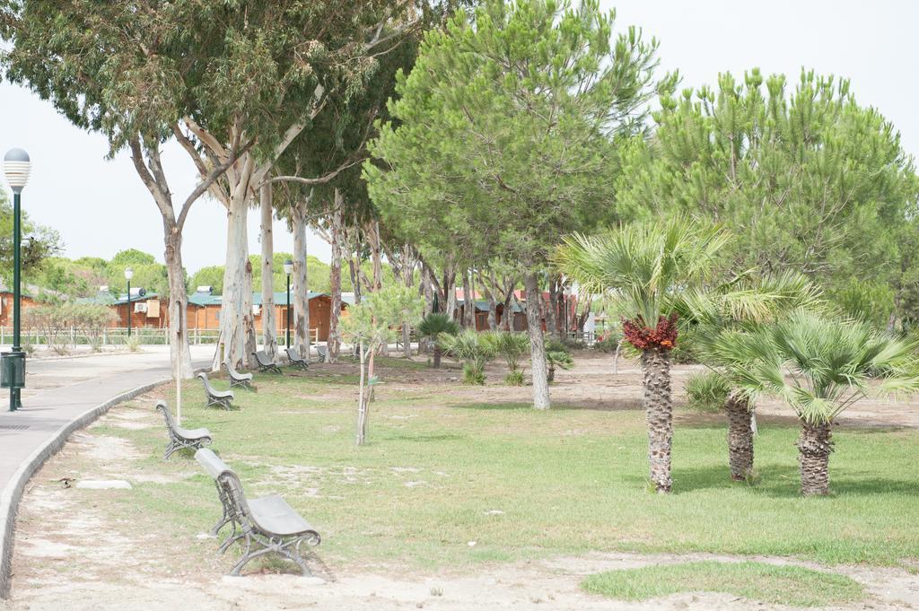 אל פוארטו דה סנטה מריה Alojamiento Rural Coto De La Isleta מראה חיצוני תמונה