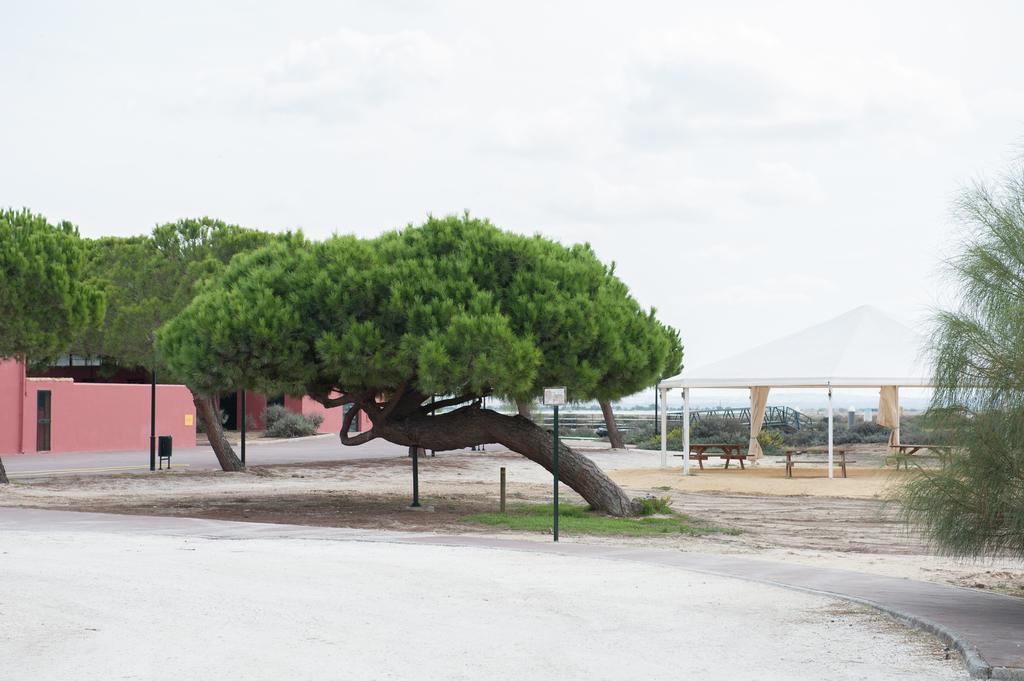 אל פוארטו דה סנטה מריה Alojamiento Rural Coto De La Isleta מראה חיצוני תמונה