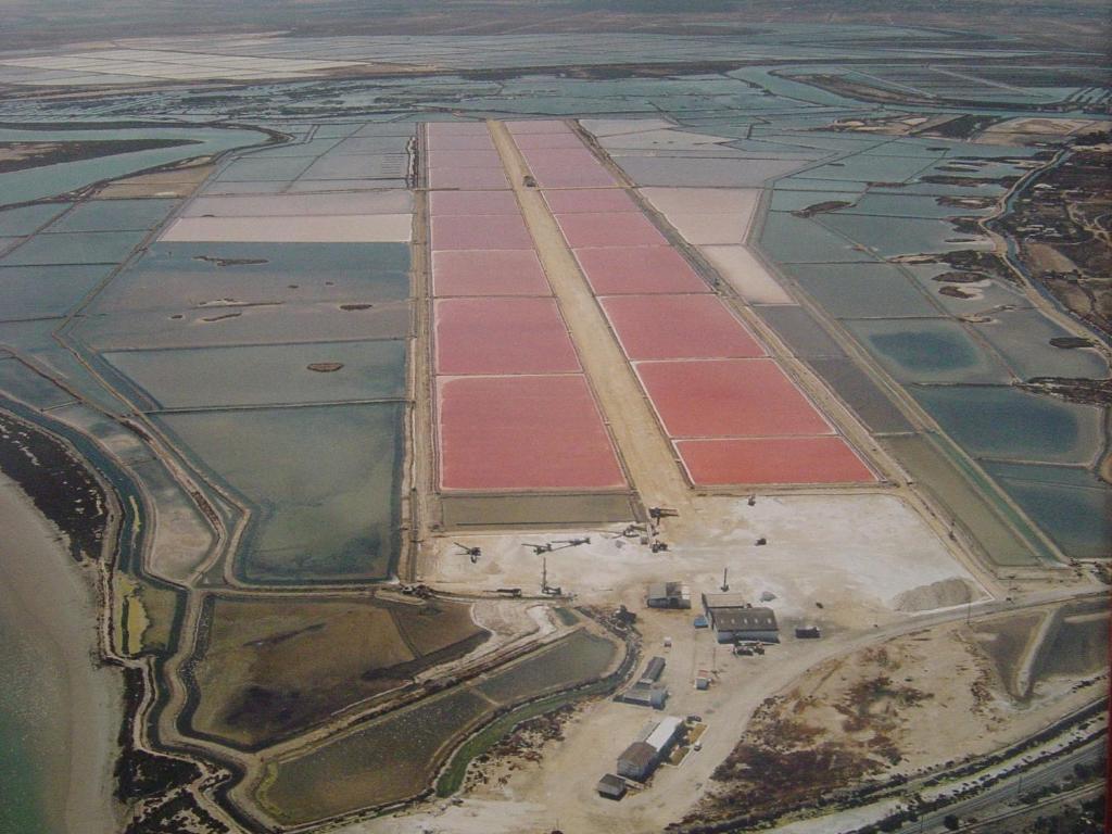 אל פוארטו דה סנטה מריה Alojamiento Rural Coto De La Isleta מראה חיצוני תמונה