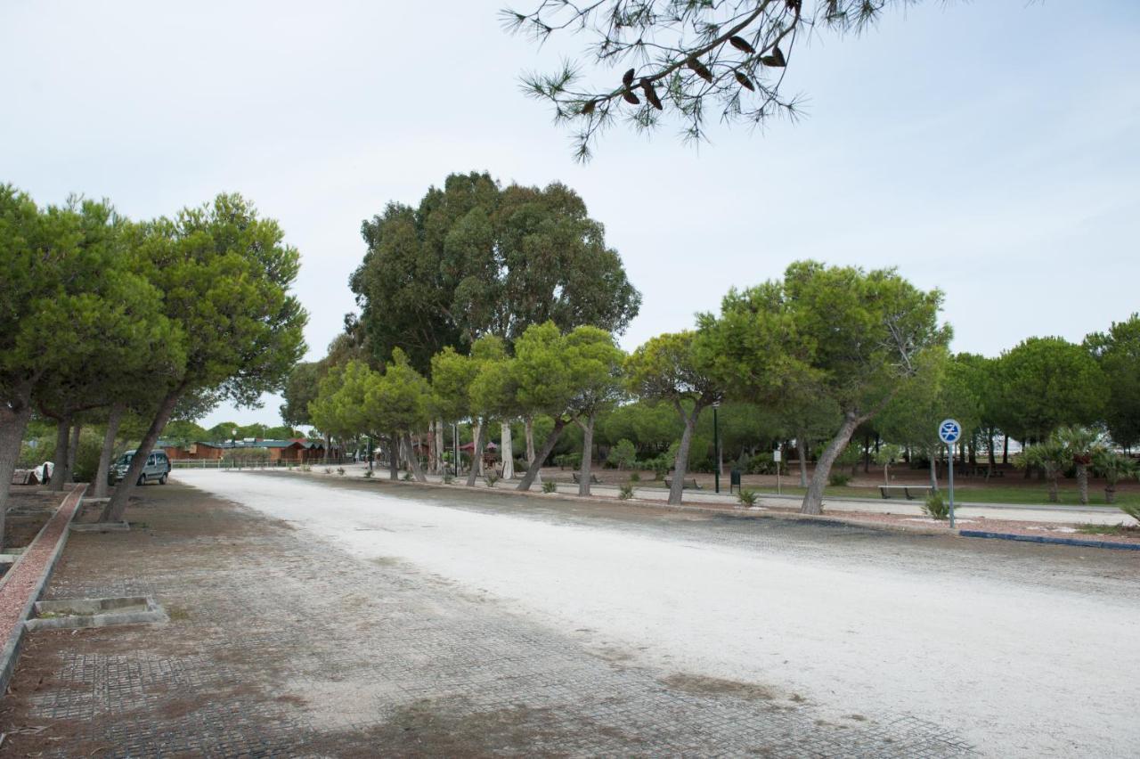אל פוארטו דה סנטה מריה Alojamiento Rural Coto De La Isleta מראה חיצוני תמונה