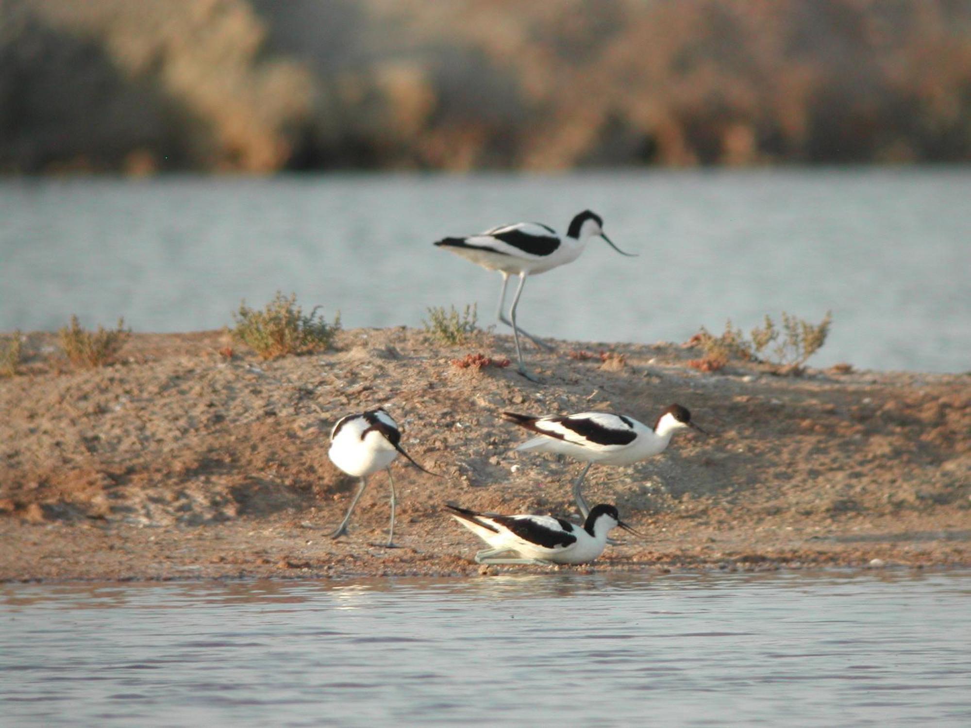 אל פוארטו דה סנטה מריה Alojamiento Rural Coto De La Isleta מראה חיצוני תמונה